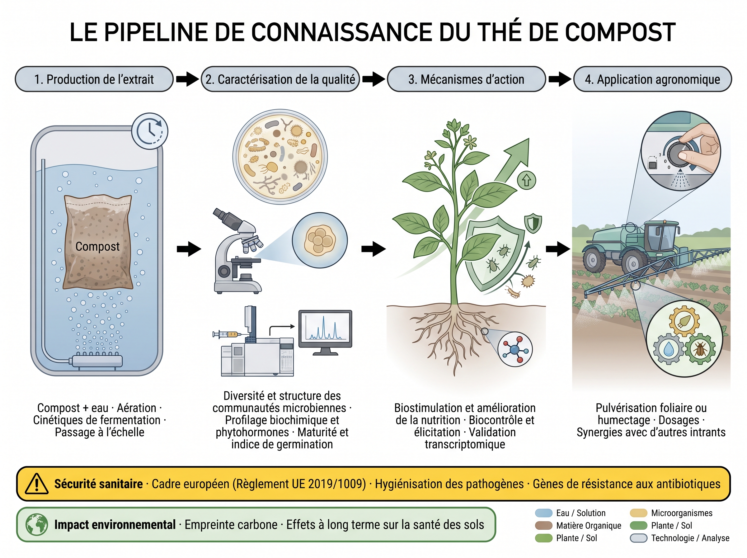 Thé de compost et extrait de compost : mécanismes d'extraction et efficacité réelle