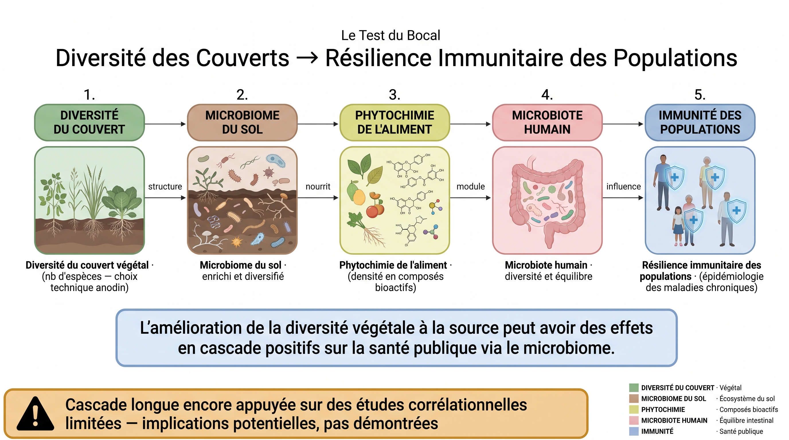 C6 — Diversité des couverts → Résilience immunitaire des populations