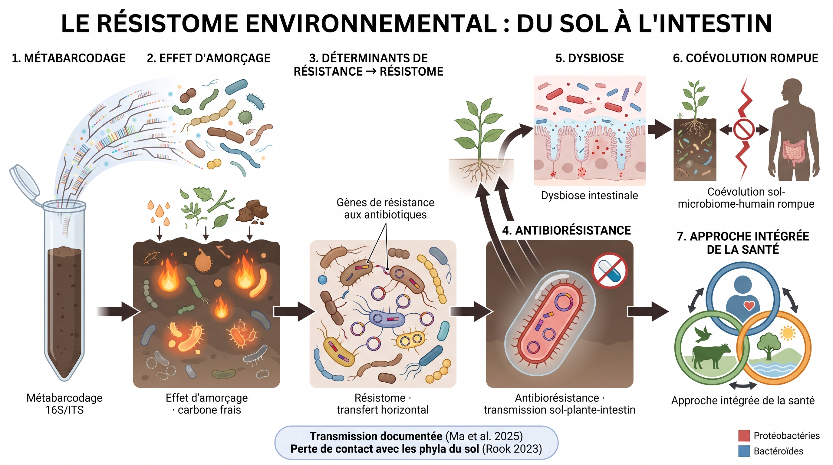 C16 — Résistome environnemental : du sol au One Health