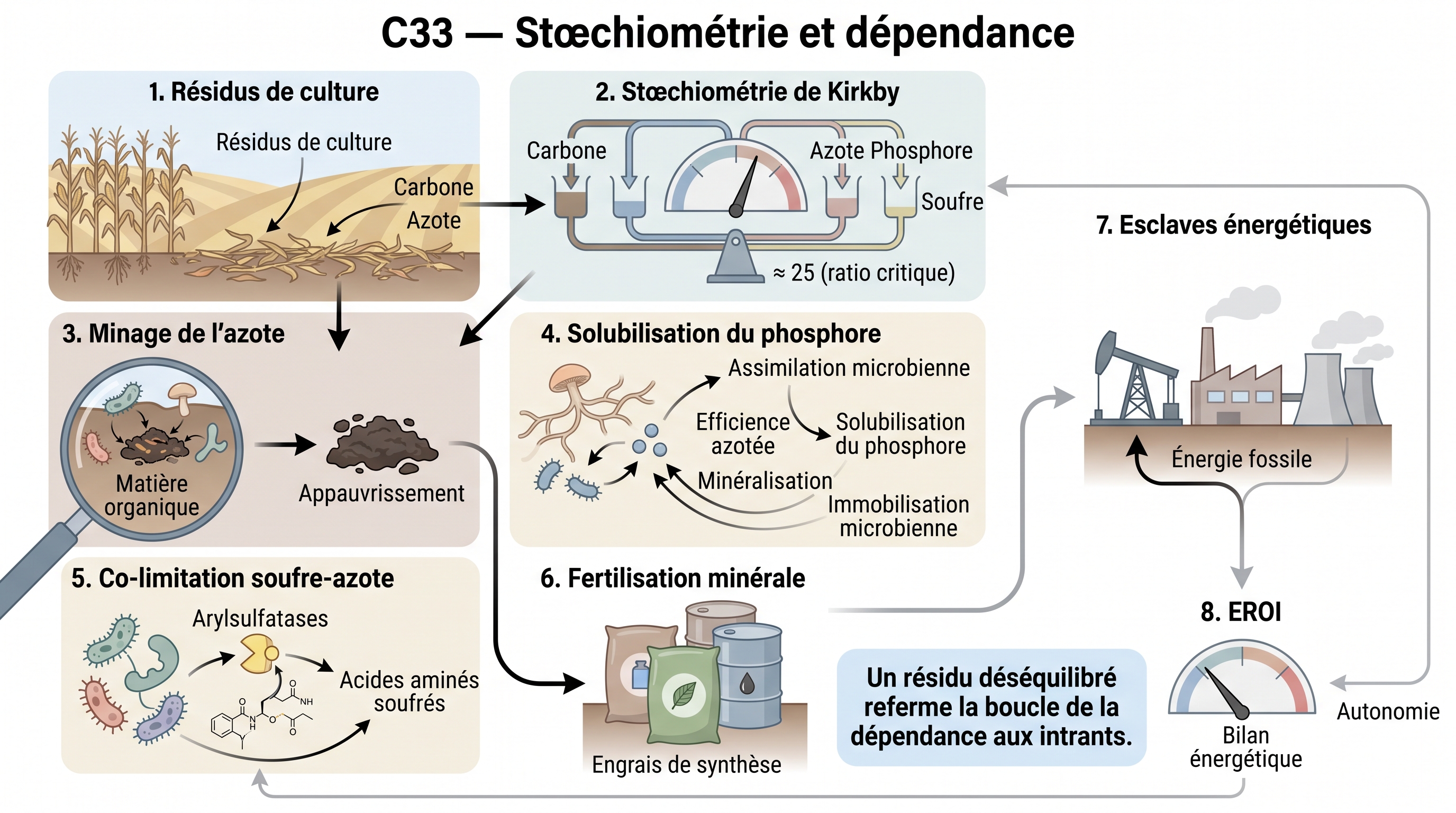C33 — Verrou stœchiométrique CNPS : ratio des résidus → dépendance aux intrants
