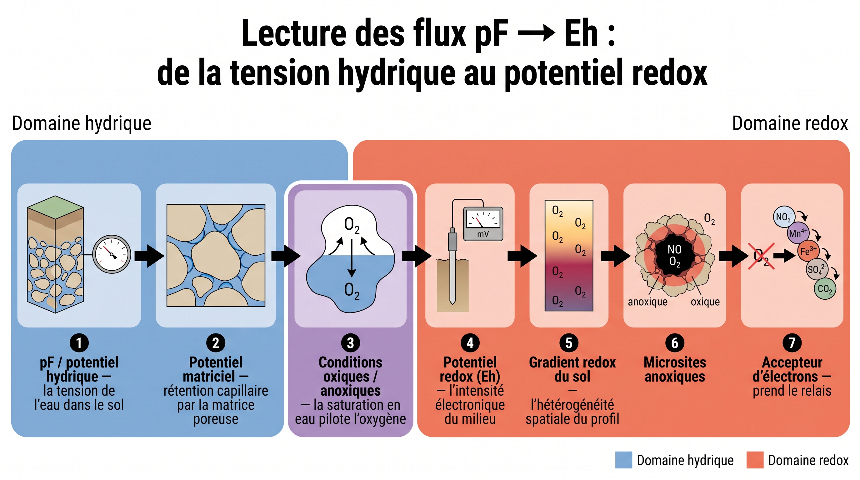 C57 — Lecture des flux pF→Eh : de la tension hydrique au potentiel redox